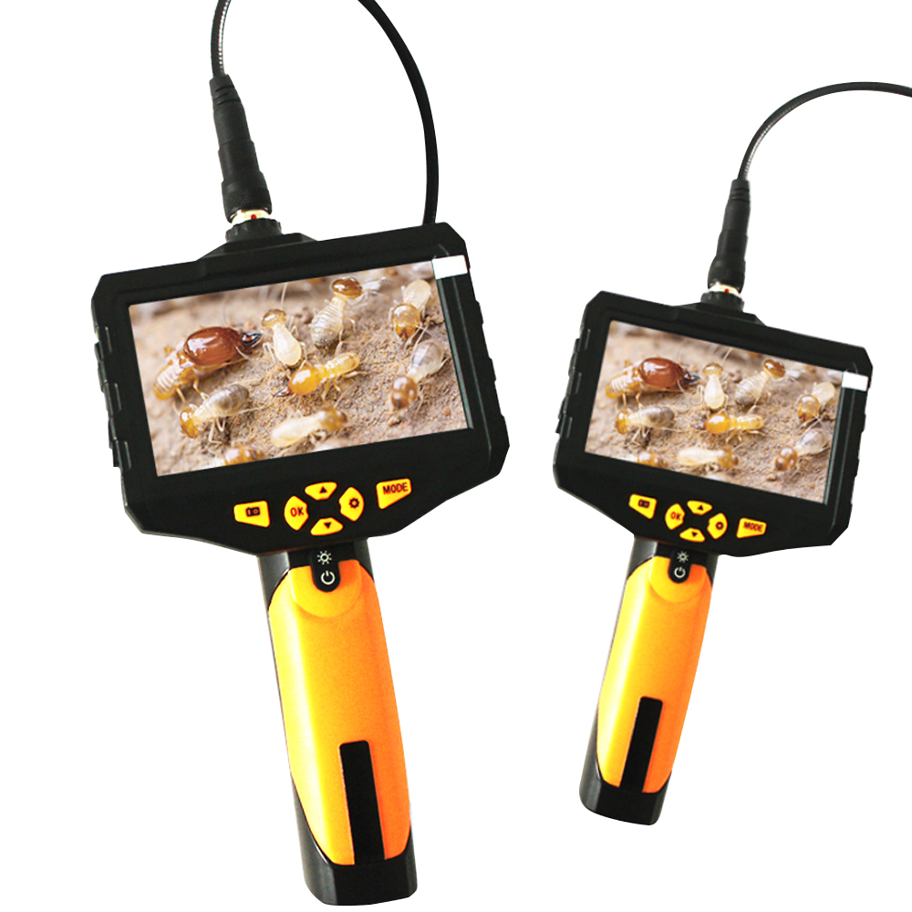 Video Termite Detector Termite - Power Tools Video review and price